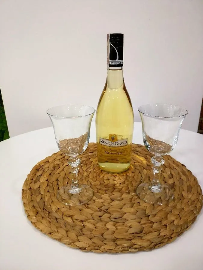 Apartament Starowislna Krakow